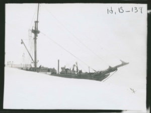 Image: S.S. Thetis in pack ice